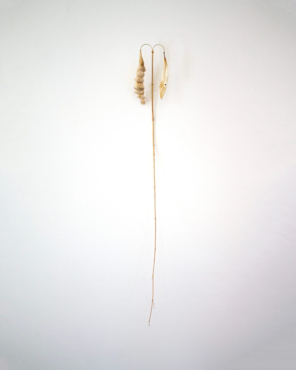 Obra de Luca Vanello